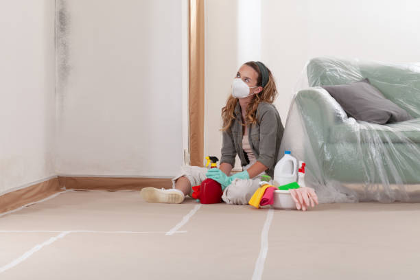 Reliable Crawl Space Mold Remediation contractor in Wheaton, MD by Mold Remediation HQ